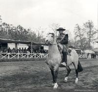 Huaso a caballo