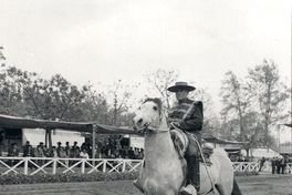 Huaso a caballo