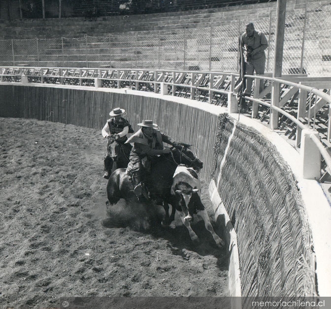 Rodeo a la chilena