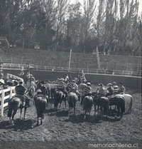 Rodeo a la chilena