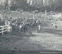 Rodeo a la chilena