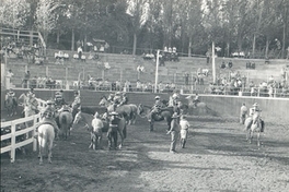 Rodeo a la chilena