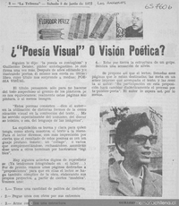 ¿"Poesía visual" o visión poética?