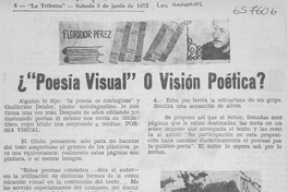 ¿"Poesía visual" o visión poética?