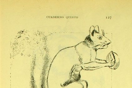 Representación de animales de acuerdo al método de dibujo Krüsi, 1902