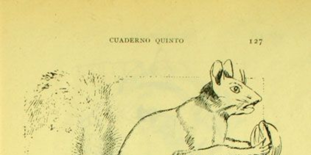 Representación de animales de acuerdo al método de dibujo Krüsi, 1902