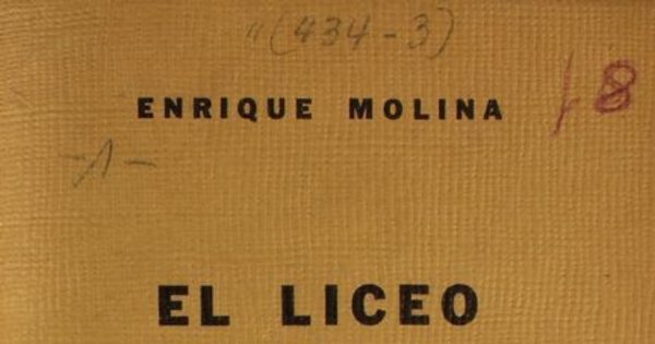 El liceo y la formación de la elite