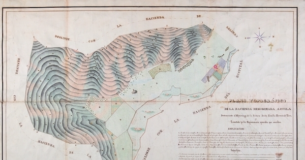 Plano topográfico de la hacienda denominada  Águila perteneciente al mayorazgo de la señora doña Emilia Herrera de Toro, 1852