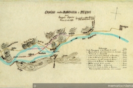 Camino entre Rancagua i Peumo, 1863