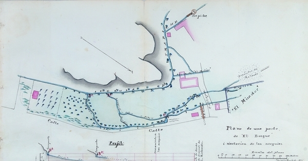 Plano de una parte de "El Bosque" y nivelación de las acequias, Copiapó, 1875