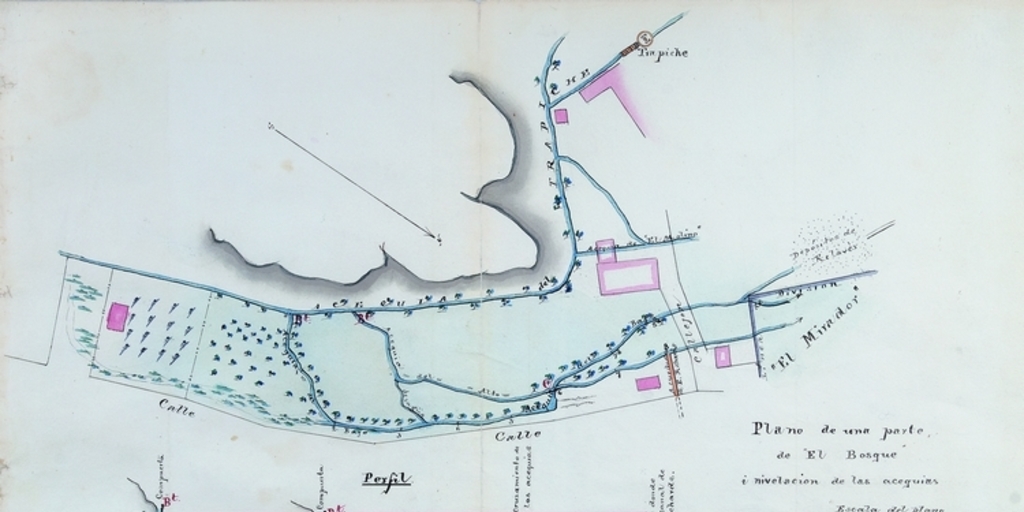 Plano de una parte de "El Bosque" y nivelación de las acequias, Copiapó, 1875