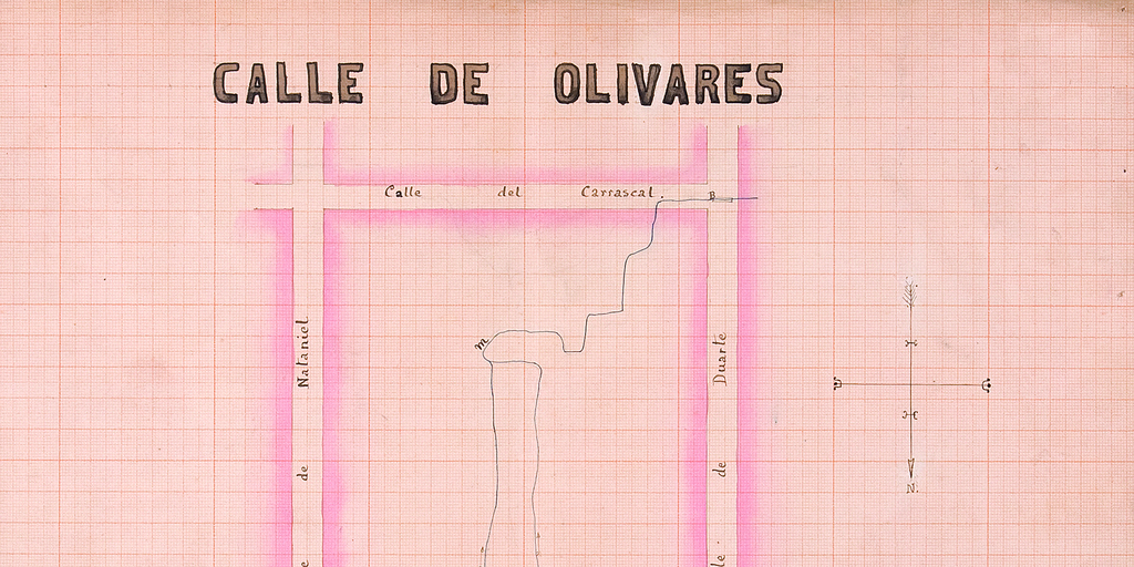 Calle de Olivares, 1877