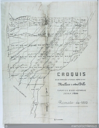 Croquis de los terrenos situados entre los ríos Malleco i estero Dillo, 1893