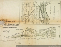 Plano de Malleco, Dillo y Curacautín, con sus terrenos divididos en hijuelas, 1894