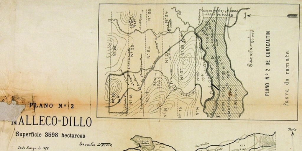 Plano de Malleco, Dillo y Curacautín, con sus terrenos divididos en hijuelas, 1894