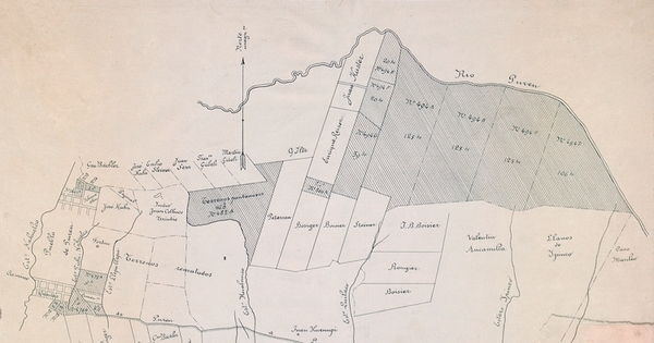 Plano de la Colonia de Purén de 1898 [mapa]