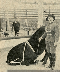 Adiestradora de caballos, 1909