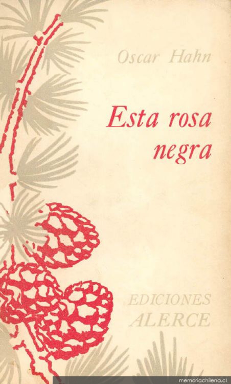 Esta rosa negra