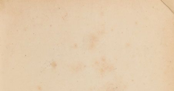 La Estrella de Chile. Tomo X, año IX, número 418 (10 de octubre de 1875) - número 443 (2 de abril de 1876)