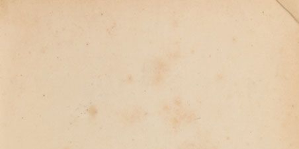 La Estrella de Chile. Tomo X, año IX, número 418 (10 de octubre de 1875) - número 443 (2 de abril de 1876)