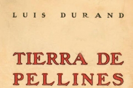 Tierra de pellines : cuentos del sur