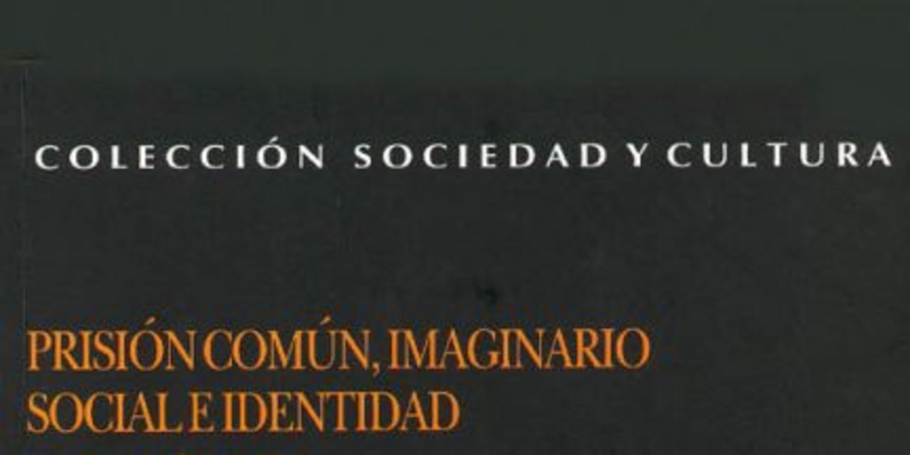 Prisión común, imaginario social e identidad : Chile, 1870-1920