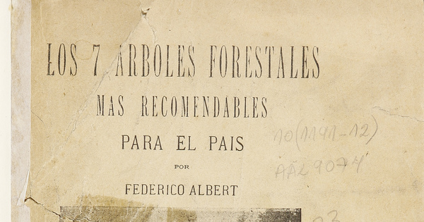 Los 7 árboles forestales más recomendables para el país