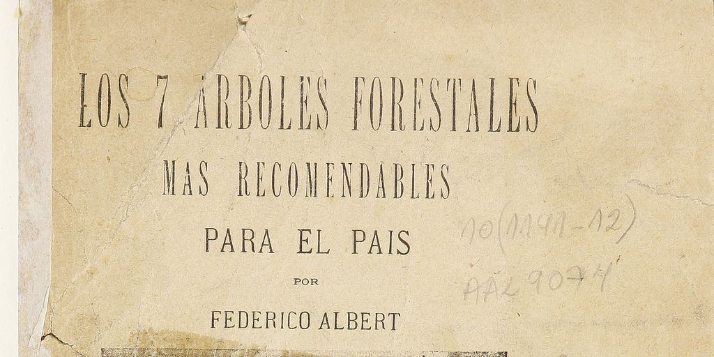 Los 7 árboles forestales más recomendables para el país