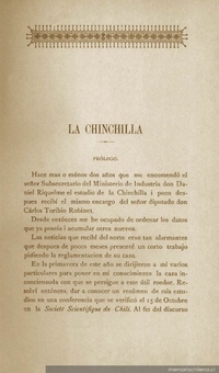 La chinchilla