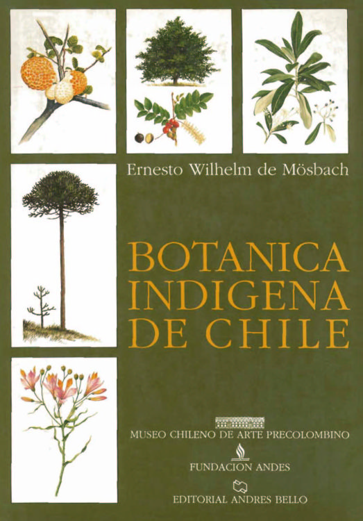 Botánica indígena de Chile