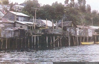 MC0019429 MC0019429