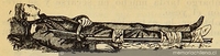 MC0056570 MC0056570