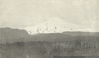 MC0027309 MC0027309