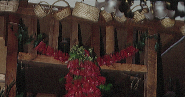 Fiesta de la Cruz de Mayo en San Pedro, Concepción, 1993