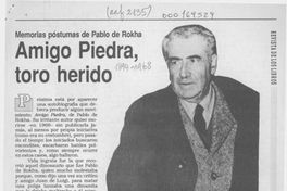 Amigo piedra, toro herido