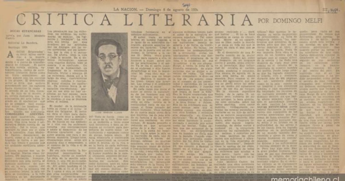 Crítica literaria : Aguas estancadas