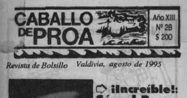 Caballo de proa : año 13, n° 28, agosto 1995