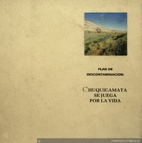 Plan de descontaminación: Chuquicamata se juega por la vida