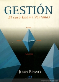 Gestión : el caso Enami Ventanas