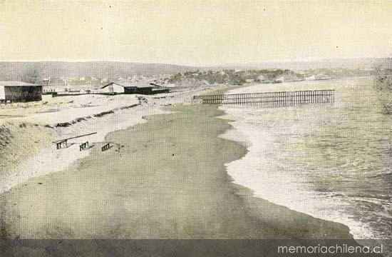 Playa y terrenos de la Sociedad Balneario de Viña del Mar, en el fondo el Cerro Castillo.