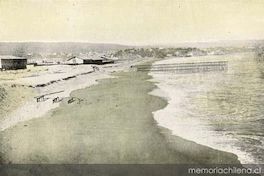 Playa y terrenos de la Sociedad Balneario de Viña del Mar, en el fondo el Cerro Castillo.