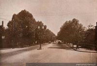 Gran Avenida de Viña del Mar