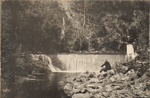Parque de Lota, 1903 Parque de Lota, 1903